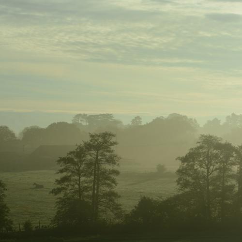England 2013