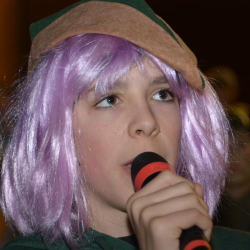 Fasching 2014