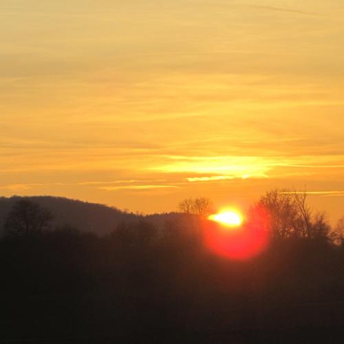 Wienwoche Dez 2011