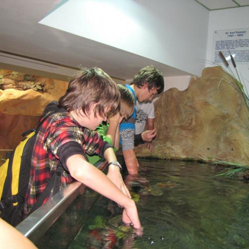 Wienwoche Dez 2011