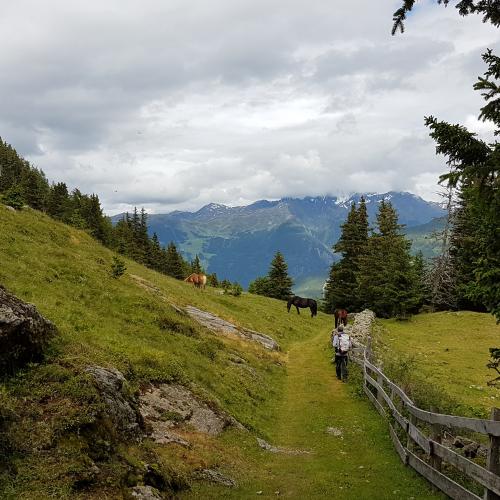 Ausblick Richtung Pitztal