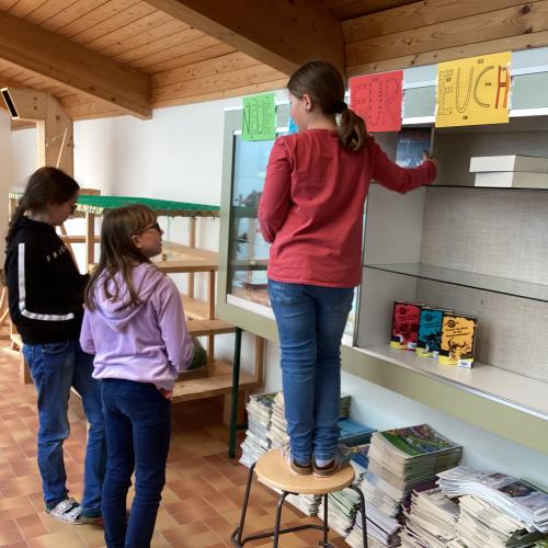 Büchereigestaltung Reading Club