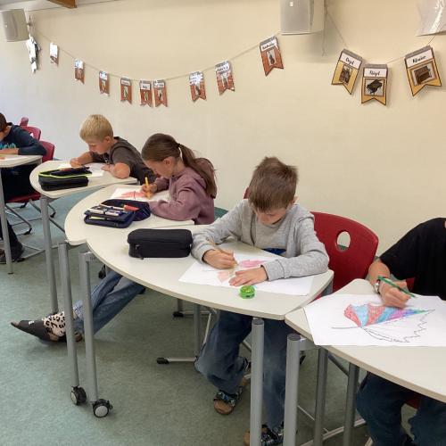 Bib Projekt