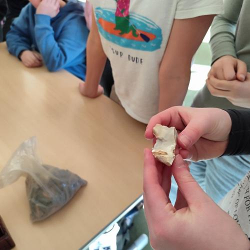 Archäologieworkshop