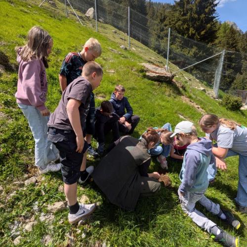Naturwerkstatt