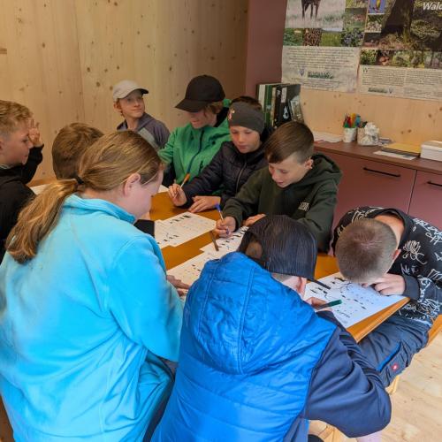 Naturwerkstatt