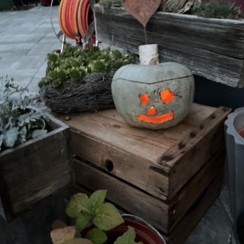 Halloween Kürbisse