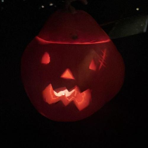 Halloween Kürbisse