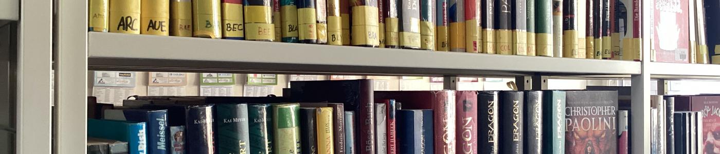 Schule der Meisterdiebe