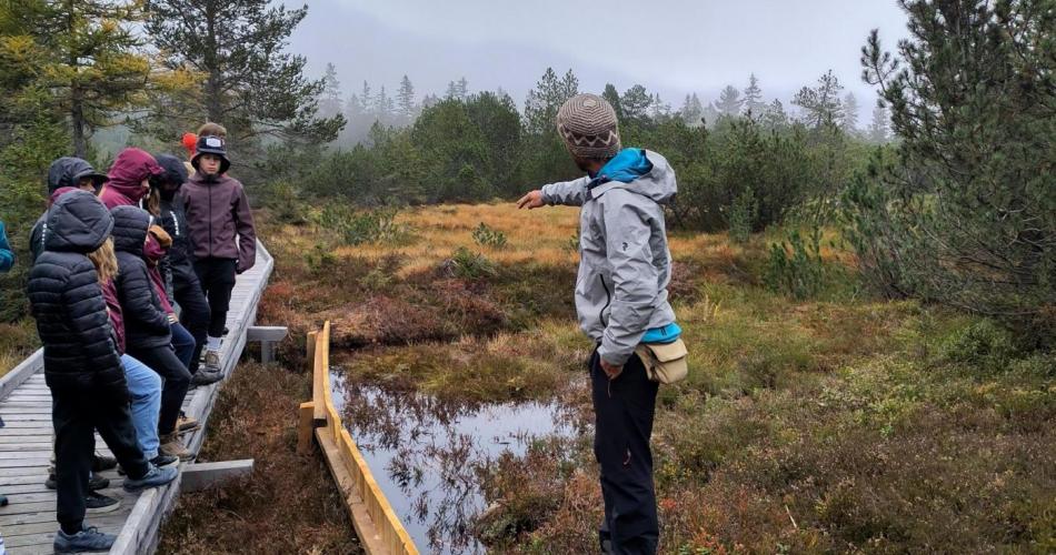 Die Schüler:innen besichtigen die angelegten Bewässerungssysteme
