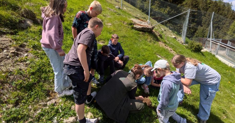 Naturwerkstatt